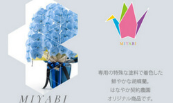MIYABI